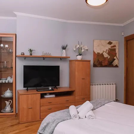 Calido Y Acogedor En El Centro By Apartment Vigo